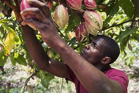 One Health, Zero Hunger